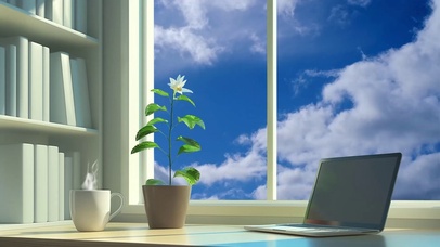 唯美治愈阳光4K