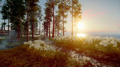 唯美夕阳松柏湖面