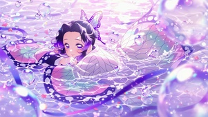水上蝴蝶忍