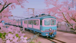 樱花火车