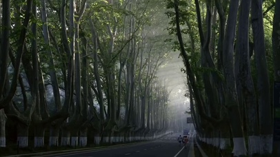 真的太喜欢这种感觉