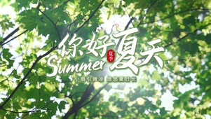 你好夏天