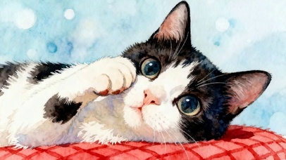 可爱猫咪