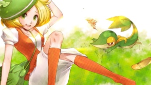 口袋妖怪训练师