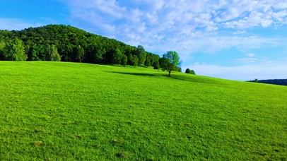 4K 护眼绿色平原和蓝天