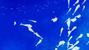 梦海集鱼
