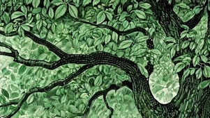 参天大树带鱼屏