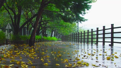 雨天公园