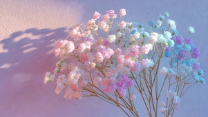 细碎春光花影满天星