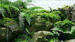 护眼水族缸带鱼屏