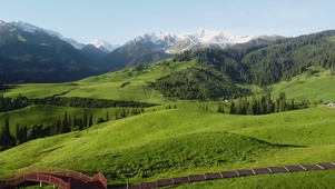 夏季草原雪山风景