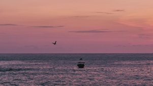 海岸黄昏