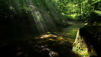 4K自然森林溪流