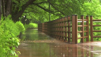 雨天街边树林小路