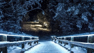 雪梯