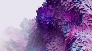 万紫千红花海 
