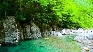 夏日清凉绿林溪水