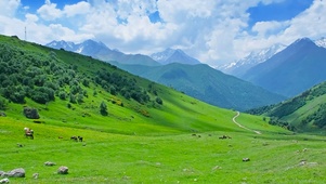 唯美风景高山草原马儿