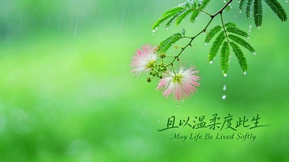 且以温柔度此生