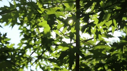 心情舒适