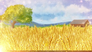 治愈系   ：风起麦浪