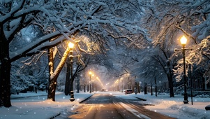 雪中小路
