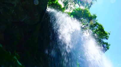 森林瀑布鸟鸣声 