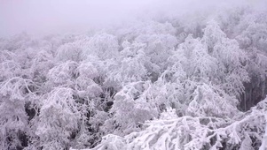 4K冬天山顶雾凇风景