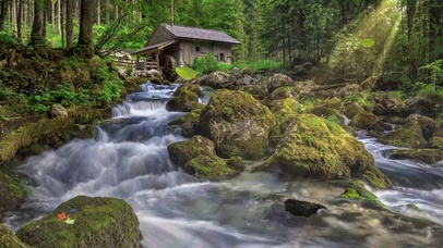 4K森林阳光木屋蝴蝶