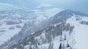 雪景