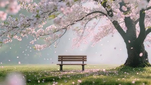 花瓣飘落