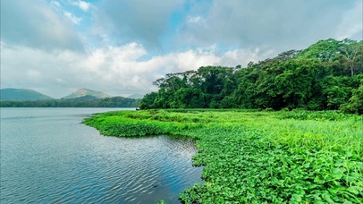 会有天使替我保护你