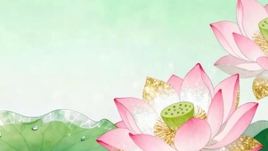 护眼荷花带鱼屏