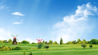 4K唯美治愈大草原