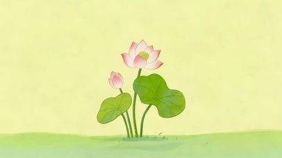 小清新荷花