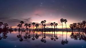 夜景壁纸