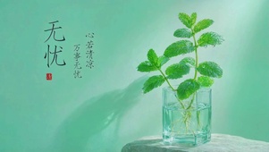 心若清凉，万事无忧