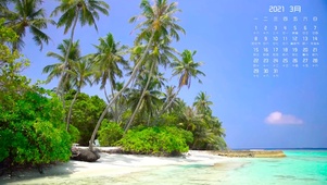 3月日历椰树海滩