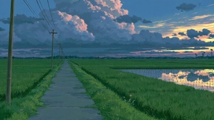 绿色麦田