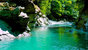 清澈护眼绿林山涧