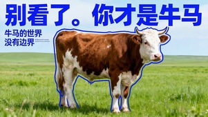 打工人文字牛马的世界没有边界