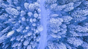 俯视森林，雪花飘飘