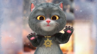 斑布猫-冬日小确幸