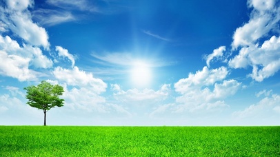 蓝天绿草和小树