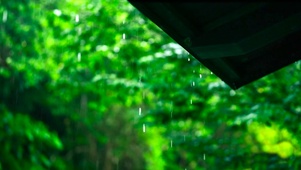 护眼屋檐雨 