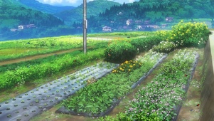 花园花草房屋