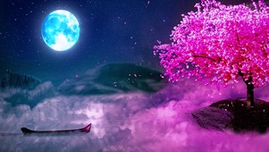 樱花