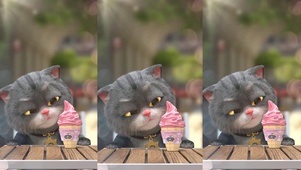 斑布猫-冰淇淋