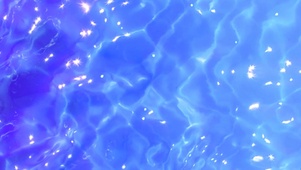 海