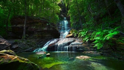 清凉绿林护眼瀑布流水